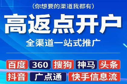 百度竞价公司案例分析：优化策略全解析